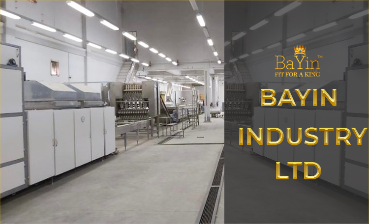 Bayin Factory Auto Production Line